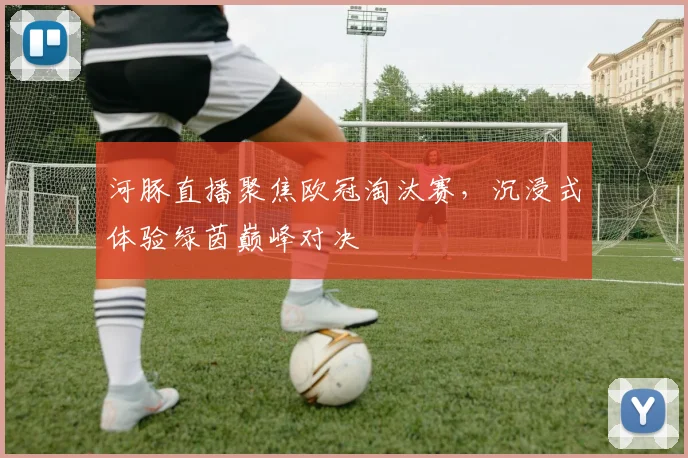 河豚直播聚焦欧冠淘汰赛，沉浸式体验绿茵巅峰对决